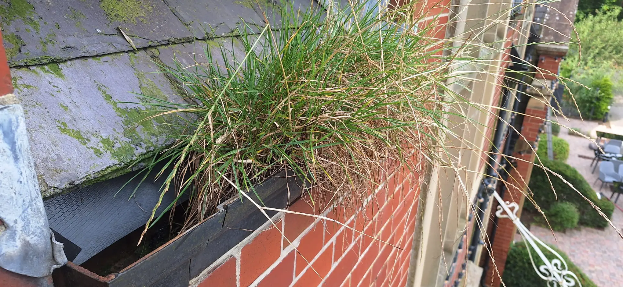 Before gutter clearance