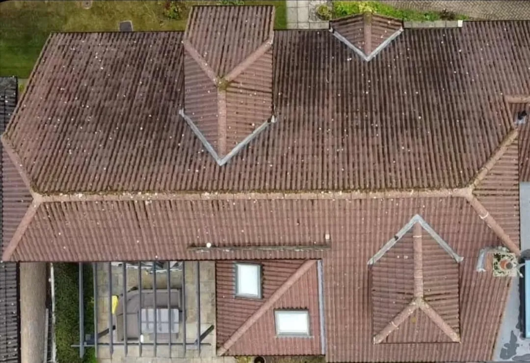 Before roof cleaning