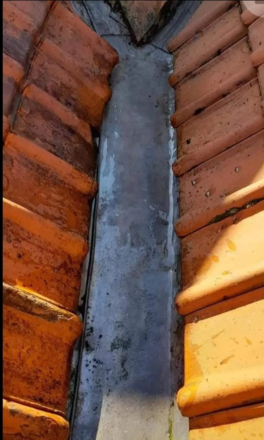 Roof cleaning service image