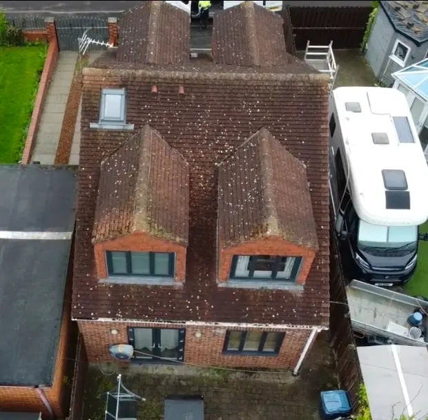 Roof covered in moss and lichen before cleaning