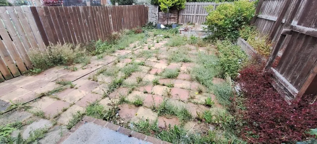 Patio repointing service image