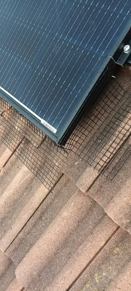 Solar panel bird proofing service image